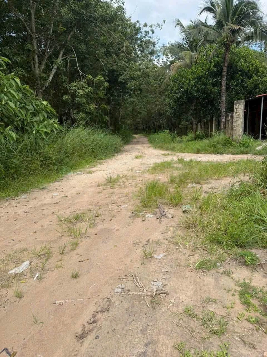 Bán 42000m² đất mặt tiền 389m tại Tây Ninh - Ảnh thu nhỏ 2