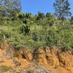 Bán đất trồng cà phê chè 6300m2, giá 1,32 tỷ - Ảnh thu nhỏ 5