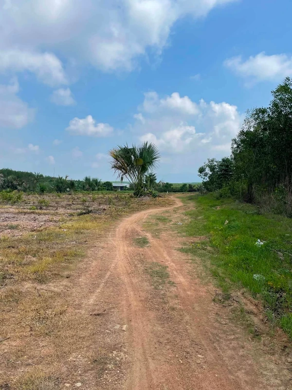 Bán lô đất 8000m2 tại Hàm Tân, Bình Thuận, giá 2,3 tỷ