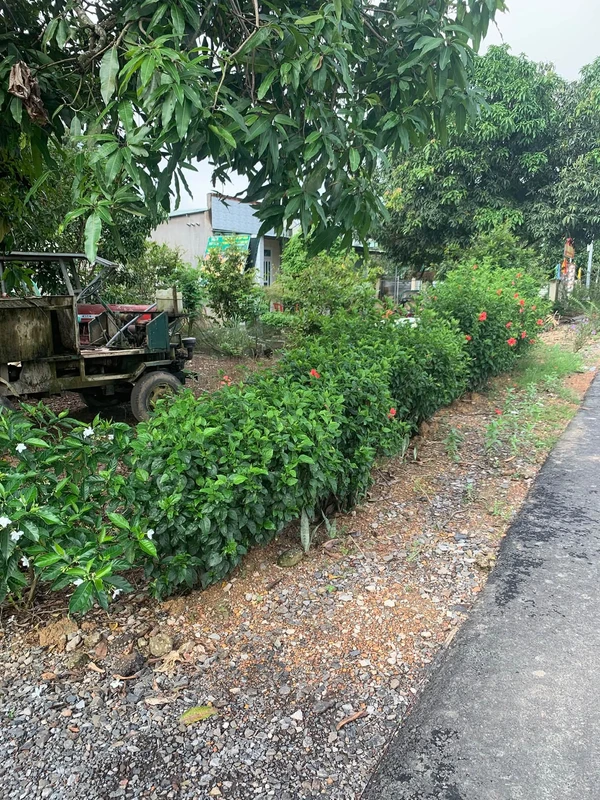 Bán đất thổ cư mặt tiền đường nhựa 10x150m nở hậu tại xã Phú Lý, Vĩnh Cửu, Đồng Nai