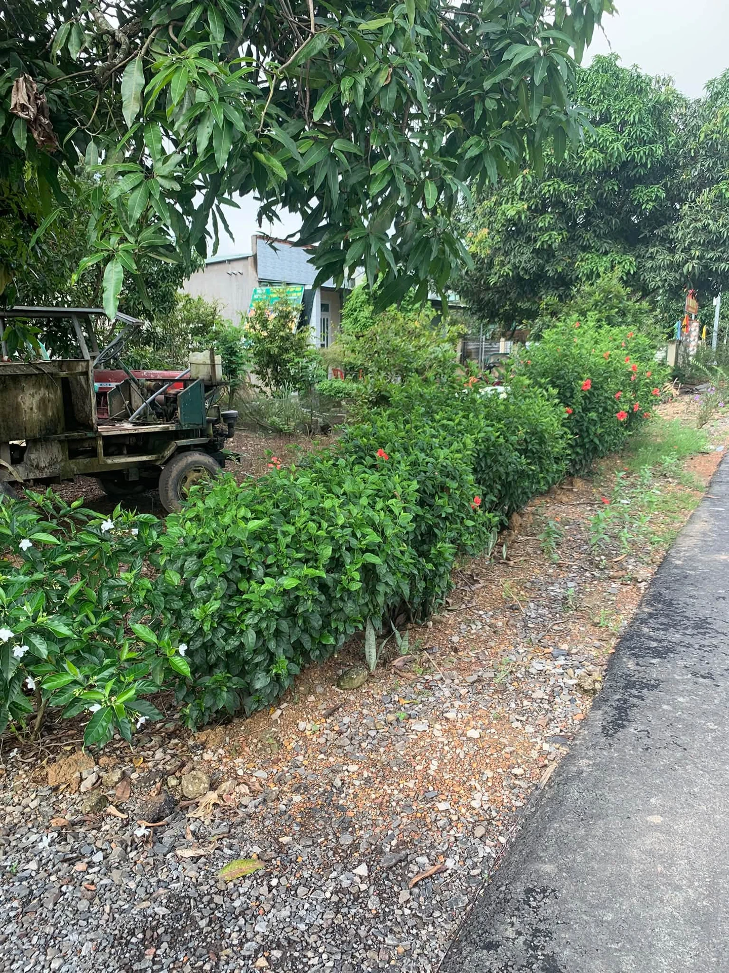 Bán đất thổ cư mặt tiền đường nhựa 10x150m nở hậu tại xã Phú Lý, Vĩnh Cửu, Đồng Nai - Ảnh 1