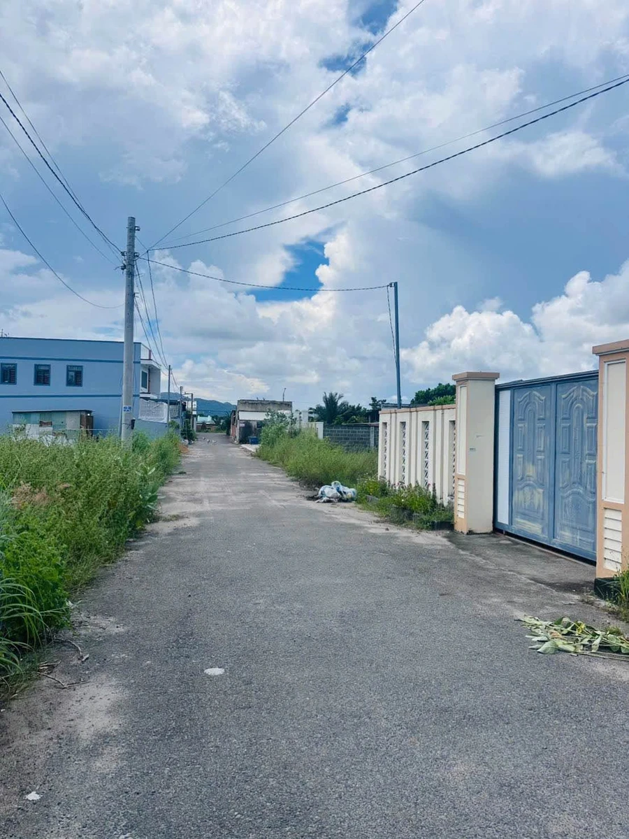 Bán đất làm nhà vườn 466m² Phước Hải Bà Rịa Vũng Tàu - Ảnh thu nhỏ 4