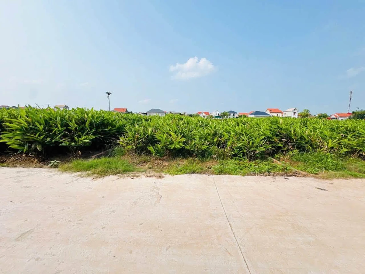Bán đất 94,7m² mặt tiền 6m Lương Tài, Bắc Ninh - Ảnh thu nhỏ 3