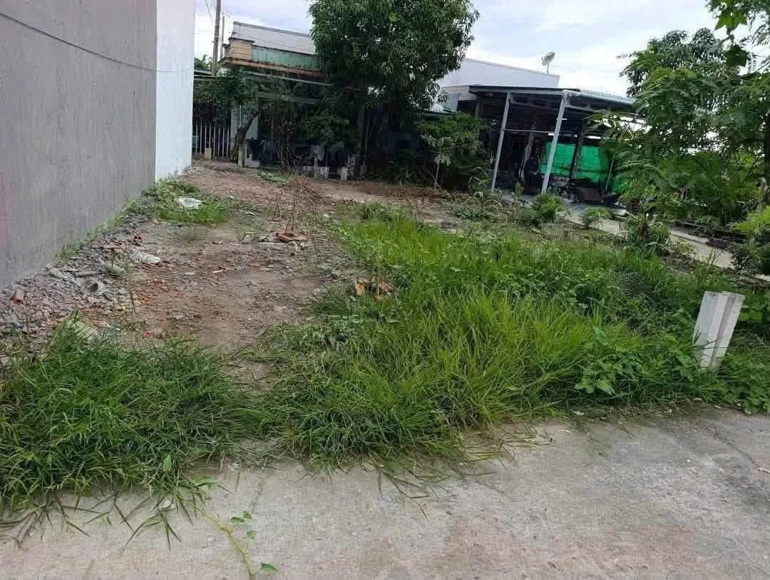 Bán đất thổ cư 82m2 giá 450 triệu gần QL50, Cần Đước - Ảnh thu nhỏ 5