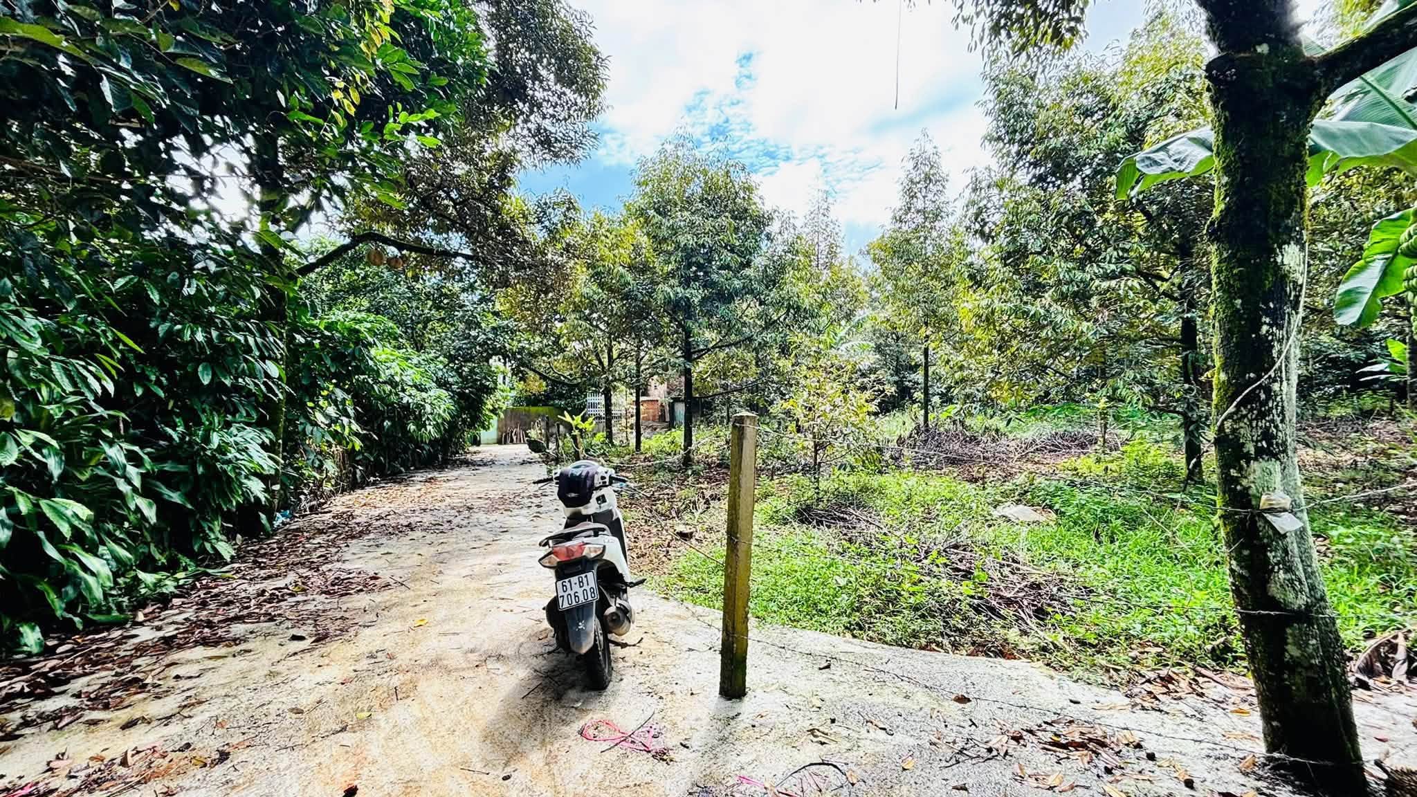 Bán 3 lô đất liền kề 186m² Bảo Lộc 1 tỷ 7 - Ảnh thu nhỏ 2