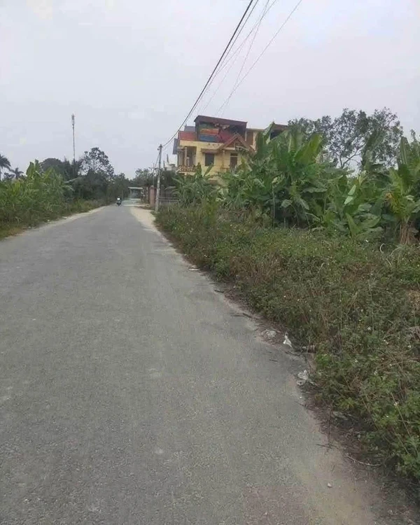 Bán lô đất giãn dân 100m2 mặt đường liên xã thôn An Cư, Đức Xương, Gia Lộc, Hải Dương