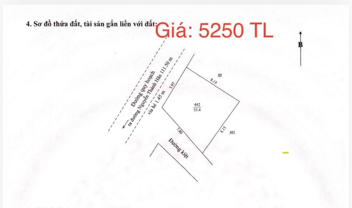 Bán gấp lô đất 55,5 m² mặt tiền Hải Châu, Đà Nẵng - Ảnh thu nhỏ 2