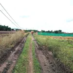 Bán 2 công đất lúa 2000m2 giá 470 triệu tại Dương Minh Châu, Tây Ninh - Ảnh thu nhỏ 2