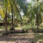 Bán đất 4800m2 Phú Nhuận 2 tỷ 800 triệu - Ảnh thu nhỏ 1