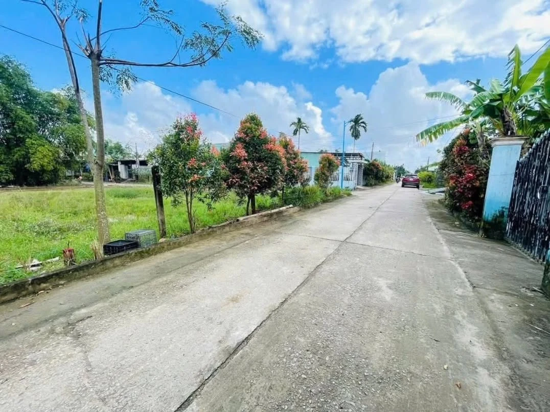 Bán lô đất 120m2 Đại Hiệp, Bình Chánh - Ảnh thu nhỏ 2