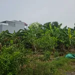 Bán đất thổ cư 100m² đường 10m, xã Thạnh Lợi, Tây Ninh, giá 1,5 tỷ - Ảnh thu nhỏ 4