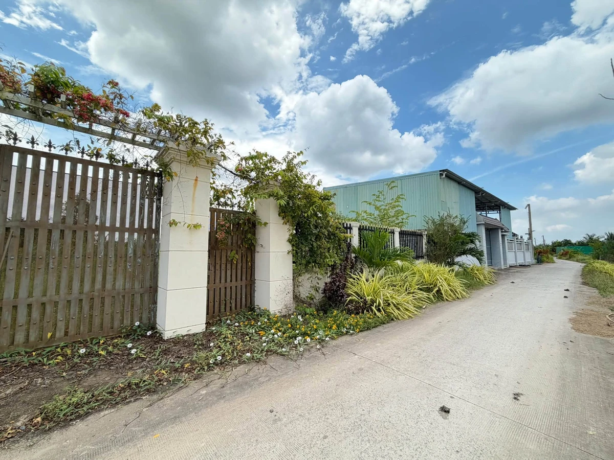 Bán 1.358m² đất Phước Lý Cần Giờ 5,5 tỷ - Ảnh thu nhỏ 4