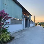 Bán 1.358m² đất Phước Lý Cần Giờ 5,5 tỷ - Ảnh thu nhỏ 2