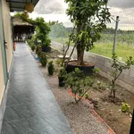 Bán nhà vườn 2 PN tại Bình Lục, Tây Ninh, 450m2, 2 tỷ 290 triệu - Ảnh thu nhỏ 5
