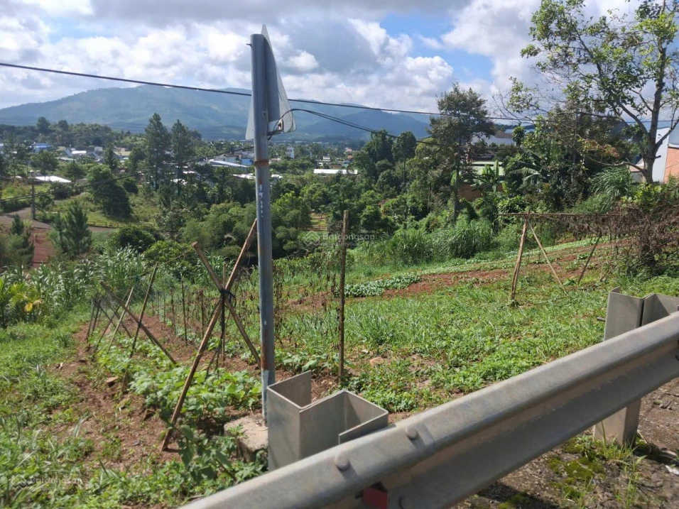 Bán đất Lộc Châu Bảo Lộc 2 lô mặt tiền Lê Thị Riêng, view thung lũng, đất ở sẵn - Ảnh thu nhỏ 3