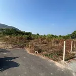 Bán đất nền 46x85m Tân Hưng Bà Rịa 9 tỷ - Ảnh thu nhỏ 5