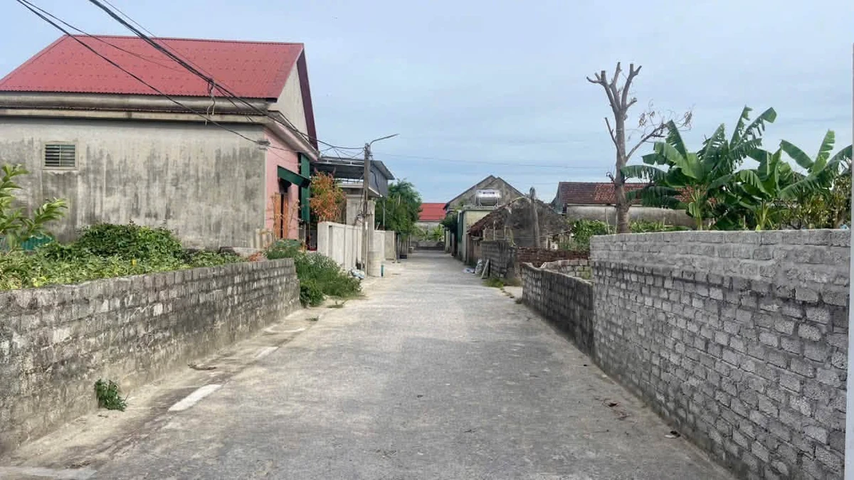 Bán đất nền 73,3m² Vinh Hưng, Thành phố Vinh, 1 tỷ 90 triệu - Ảnh thu nhỏ 2