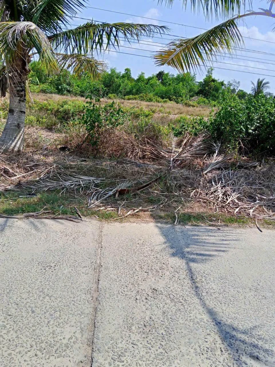 Bán đất thổ cư 75m2 An Xuyên Cà Mau, giá 340 triệu - Ảnh thu nhỏ 3