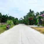 Bán đất nền 5x38m đất ở đô thị, sổ hồng riêng, thị trấn Đức Hòa, Long An - Ảnh thu nhỏ 2