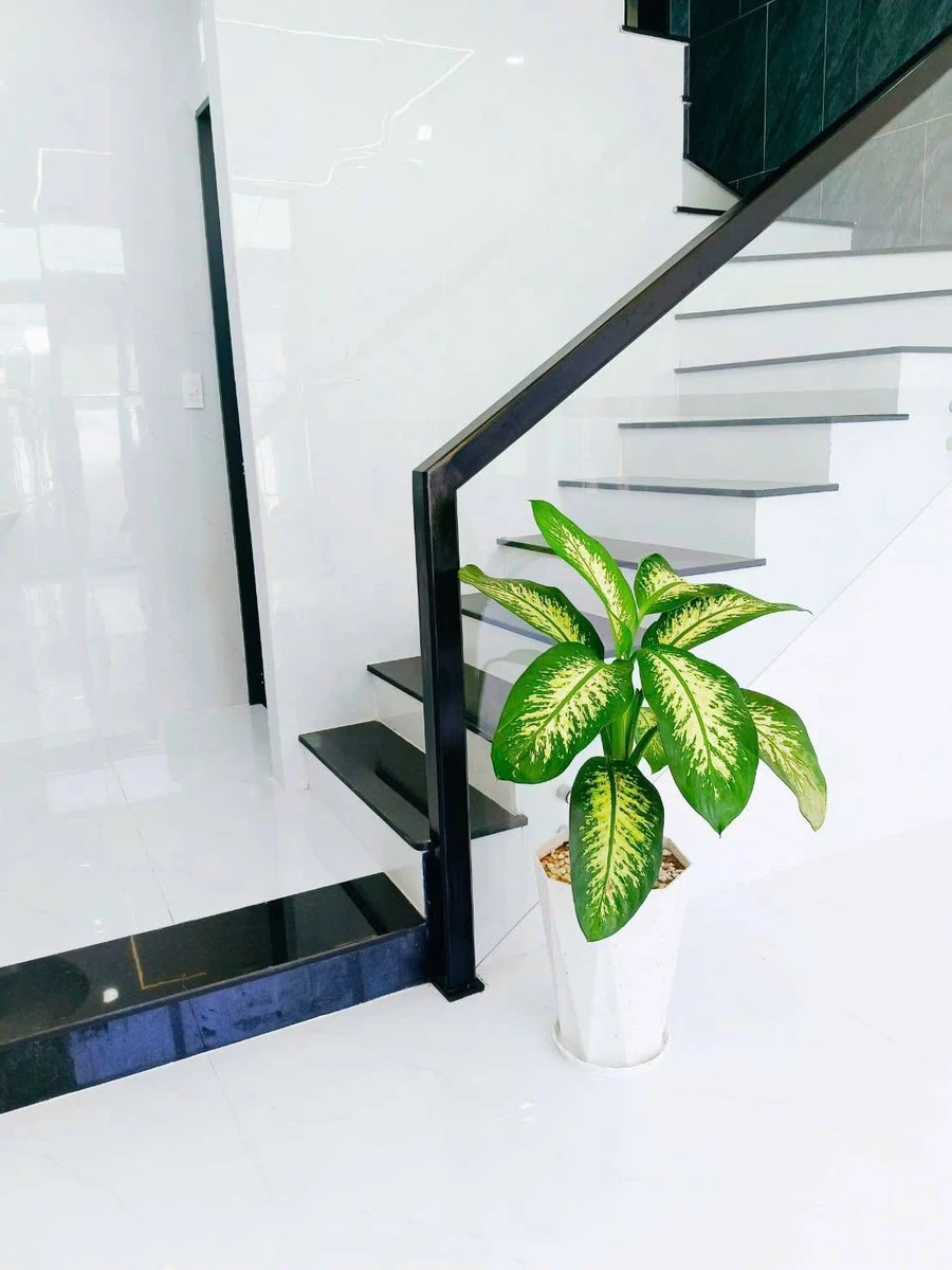 Bán nhà phố 3.5 tầng 24,5m² đường Hoàng Văn Thụ, Phường Quy Nhơn Nam - Ảnh thu nhỏ 4