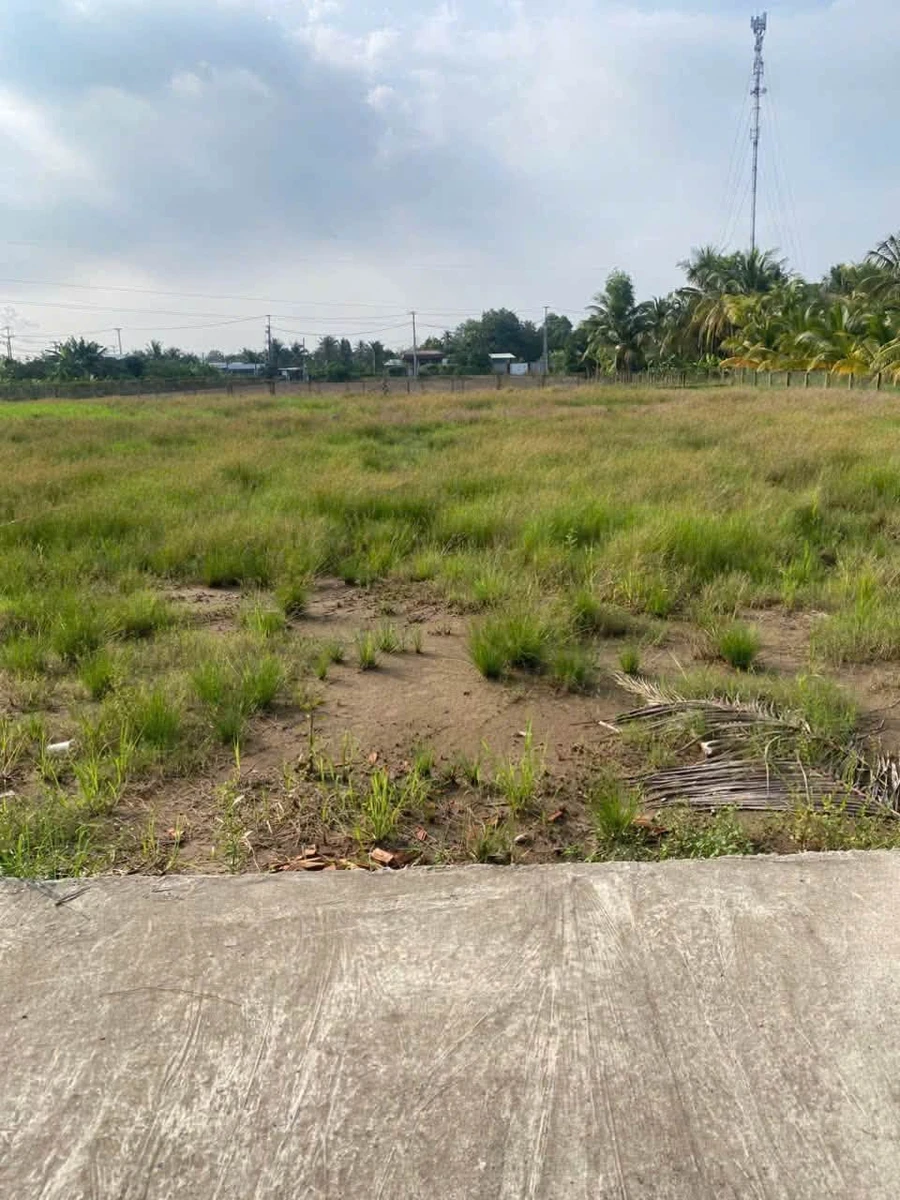 Bán đất 1.396m2 (đất lúa và đất thổ cư) phường Khánh Hậu, Tân An, Tây Ninh giá 1,7 tỷ - Ảnh thu nhỏ 2