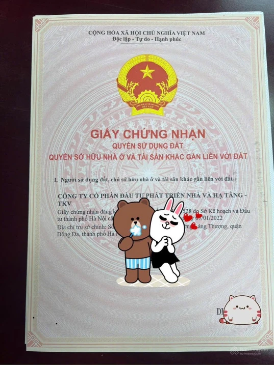Nếu anh/chị đang tìm một tài sản ở Hạ Long nhận sổ ngay - Ảnh 1