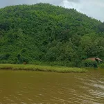 Bán lô đất rẫy view hồ 7 ha, Lâm Đồng - Ảnh thu nhỏ 3