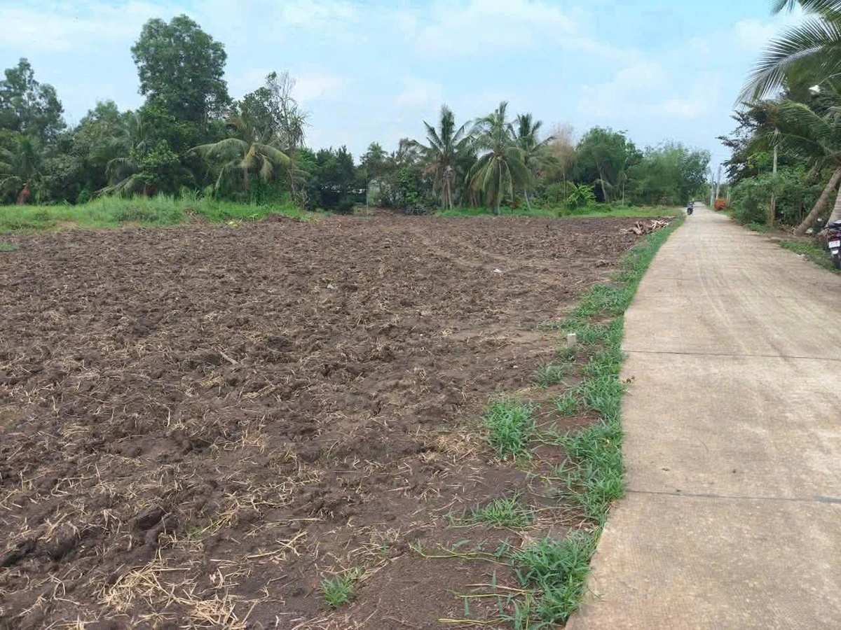 Bán đất thổ cư Bình Lãng, Tân Trụ - 5x28,5m và 6x30m - Ảnh 1