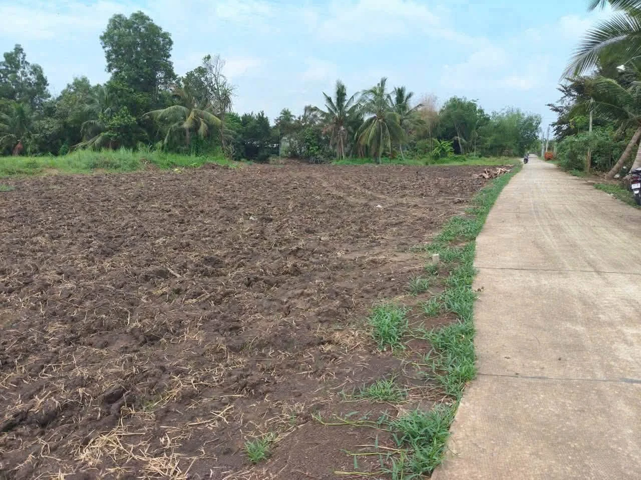 Bán đất thổ cư Bình Lãng, Tân Trụ - 5x28,5m và 6x30m - Ảnh 1