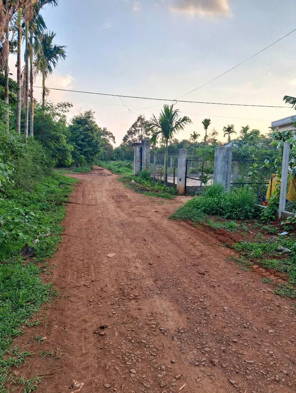 Bán đất 5x49m (245m²) gần UBND xã Cuôr Đăng, Đắk Lắk 595 triệu