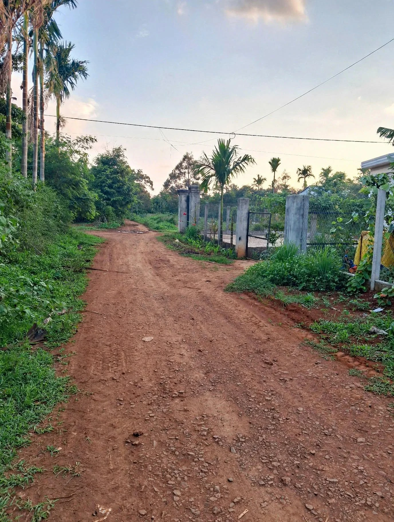 Bán đất 5x49m (245m²) gần UBND xã Cuôr Đăng, Đắk Lắk 595 triệu - Ảnh 1
