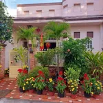 Bán nhà 141m² đất nở hậu Phan Thiết 6,5 tỷ - Ảnh thu nhỏ 1