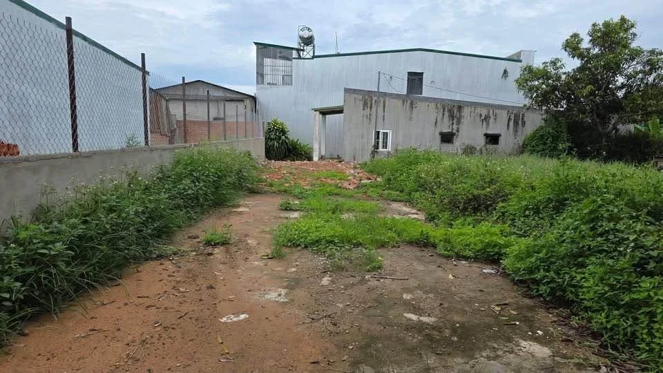 Bán đất mặt tiền kinh doanh Nguyễn Trường Tộ 120m² Nhà Bè - Ảnh thu nhỏ 2