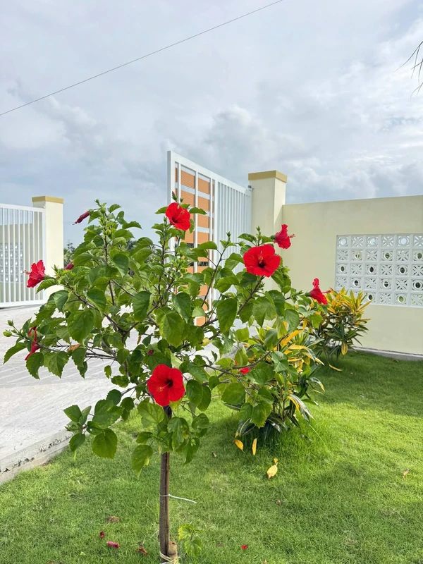 Bán nhà vườn nghỉ dưỡng 1.600m² gần Phan Thiết 1,85 tỷ