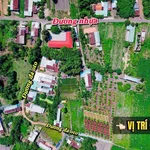 Bán đất nền 200m² full thổ cư Tây Ninh 299 triệu - Ảnh thu nhỏ 1