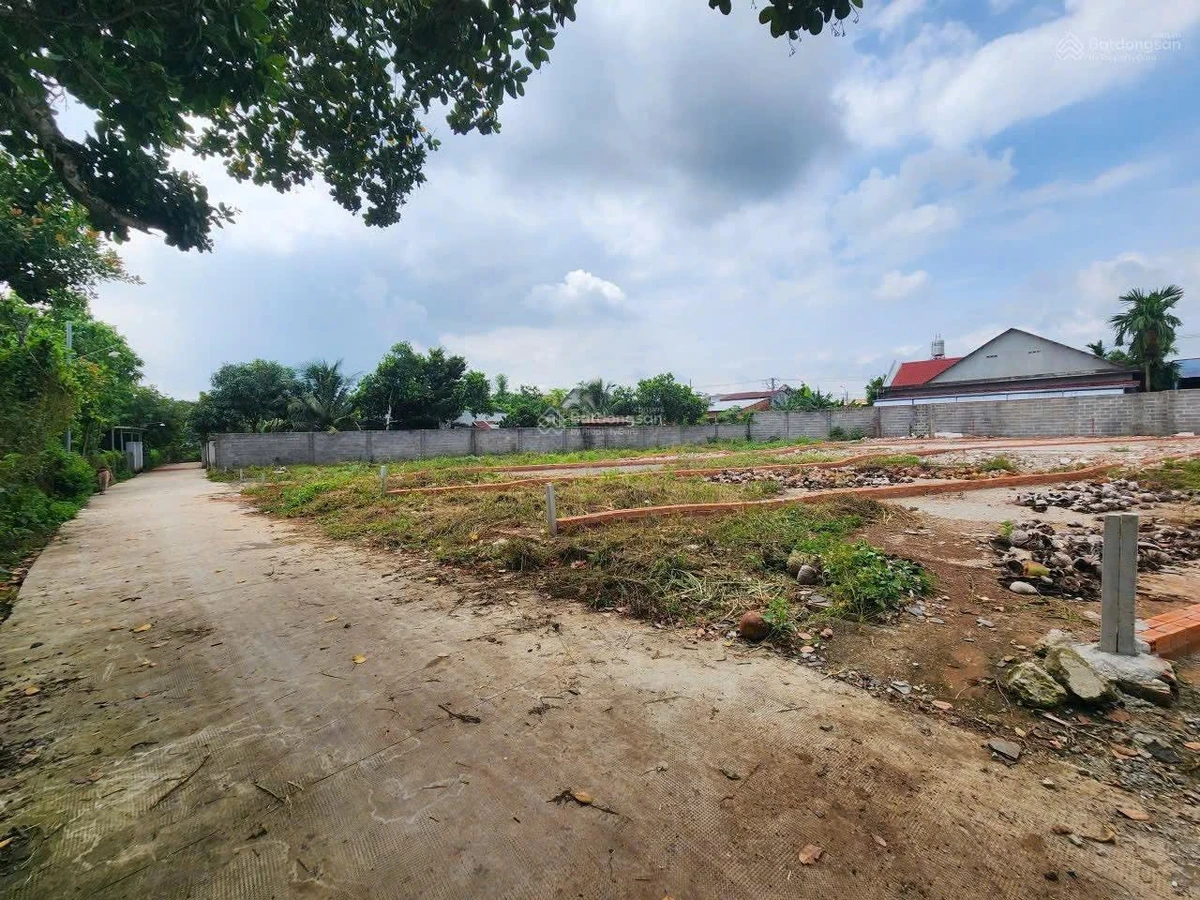 Bán đất ở 201,5m² Khu phố Bầu Cối, Đồng Nai 980 triệu - Ảnh thu nhỏ 4