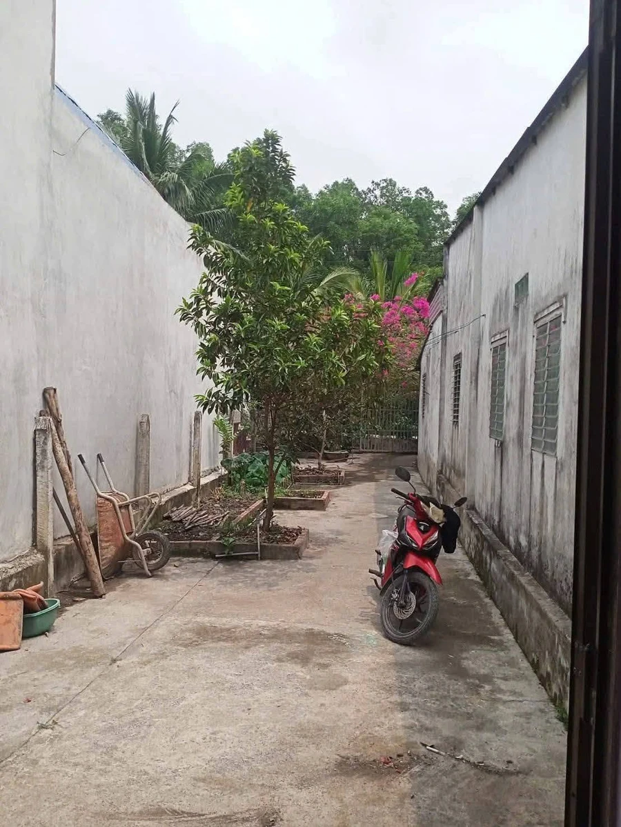 Bán đất nền full thổ cư 312m2 tặng nhà cấp 4 Tây Ninh - Ảnh thu nhỏ 3