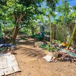 Nhà sân vườn Bình Phú Bến Tre 50m² giá 1,5 tỷ - Ảnh thu nhỏ 3