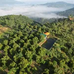 Bán 2000m² đất vườn sầu riêng Bảo Lộc, 1,3 tỷ - Ảnh thu nhỏ 4