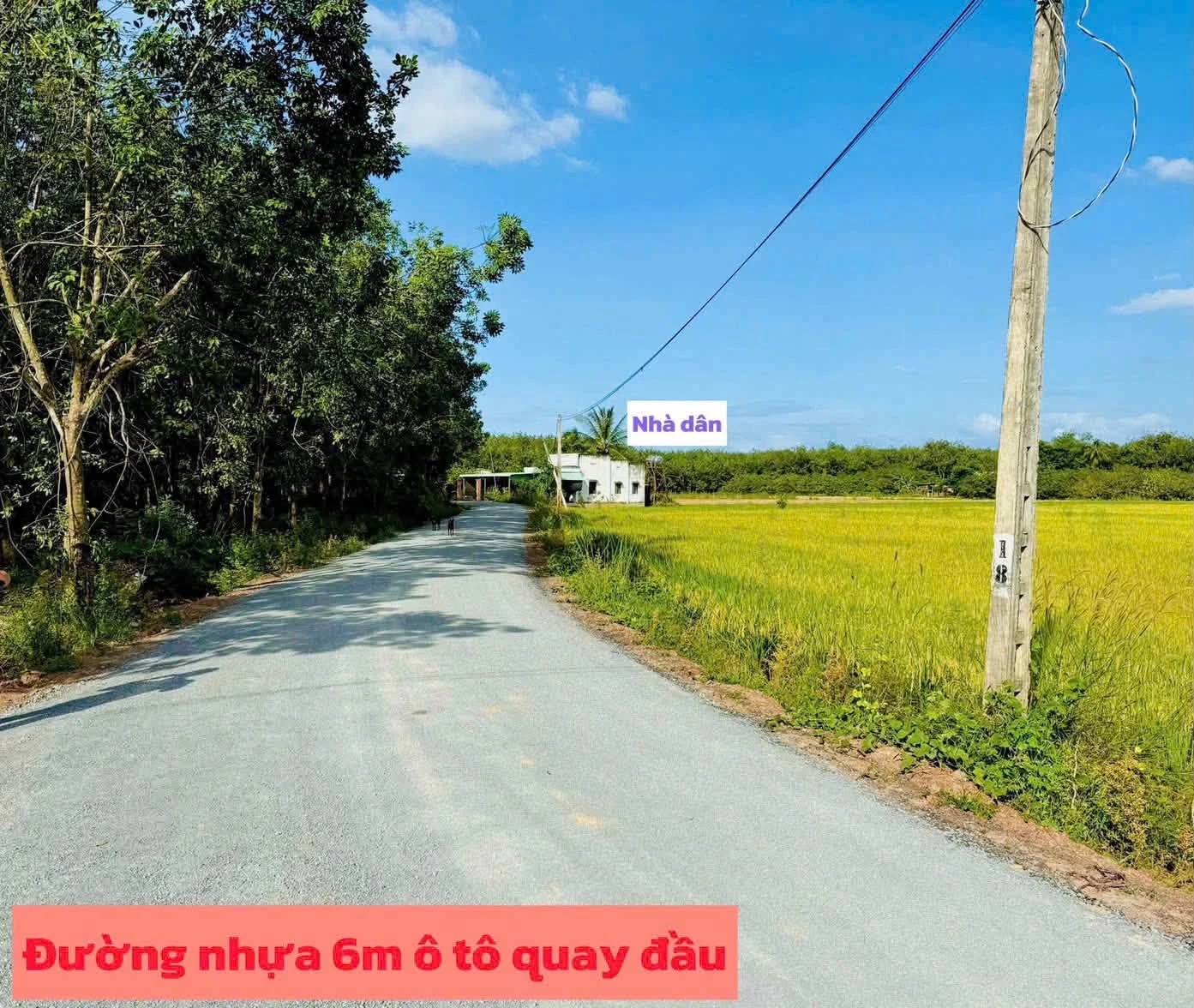 Bán đất mặt tiền Tây Ninh 250m² 189 triệu - Ảnh 1