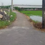 Bán nền đất 365m2 mặt tiền đường Tây Ninh - Ảnh thu nhỏ 2