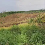 Bán đất 300m² Xã Bàu Hàm Trảng Bom 6 tỷ 500 triệu - Ảnh thu nhỏ 1
