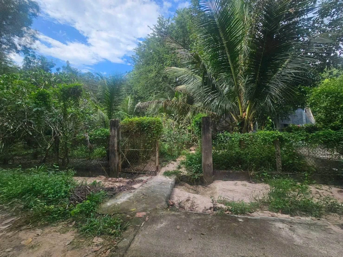 Bán 1.1ha đất cao su ngay chợ Bến Cát, 6 tỷ - Ảnh thu nhỏ 2