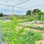 Bán đất quy hoạch thổ cư 1,2 sào Hàm Liêm, Bình Thuận - Ảnh thu nhỏ 4