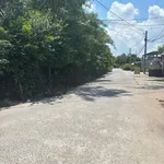 Bán lô thổ cư 136m² tại Đức Hòa Thượng, Long An - Ảnh thu nhỏ 2