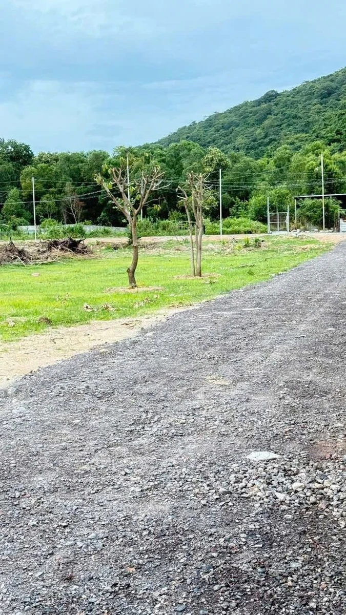 Bán đất 100m² An Ngãi, Bà Rịa - Vũng Tàu - Ảnh 1