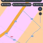 Bán 3ha đất điều và cao su, giá 1,8 tỷ/ha tại Bình Thắng, Bù Gia Mập - Ảnh thu nhỏ 1