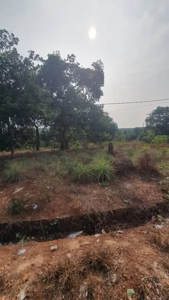 Bán đất 100m² tại Bù Đăng 700 triệu - Ảnh thu nhỏ 2