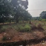Bán đất 100m² tại Bù Đăng 700 triệu - Ảnh thu nhỏ 2