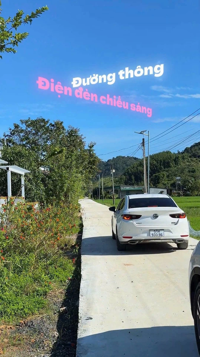 Bán đất 428m2 Đạ Tẻh Lâm Đồng 259 triệu - Ảnh thu nhỏ 5